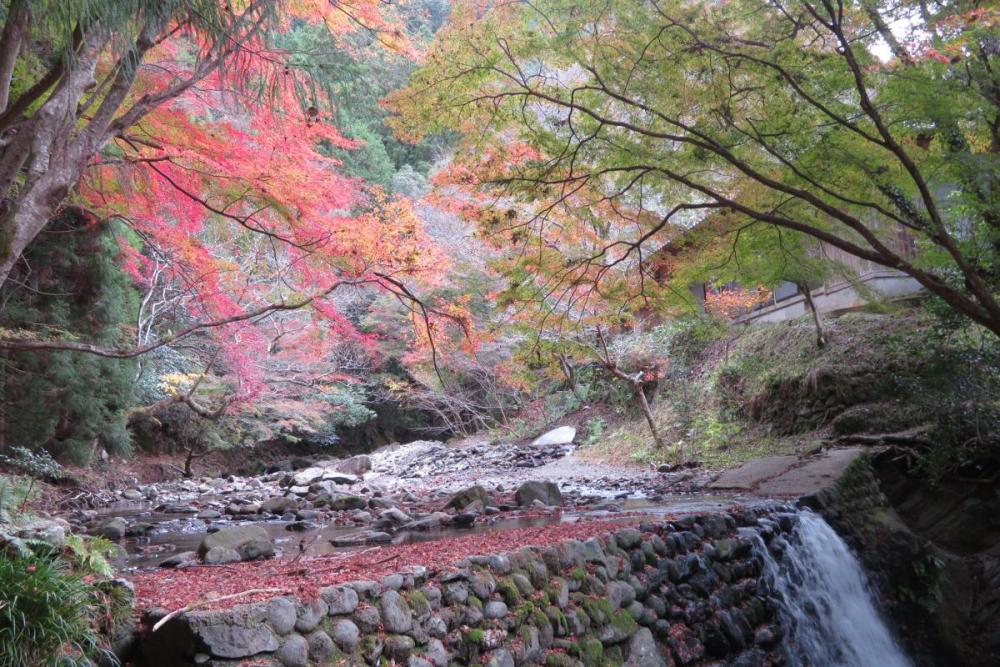 年のくらがり渓谷紅葉情報はこちら 新着情報 岡崎おでかけナビ 岡崎市観光協会公式サイト