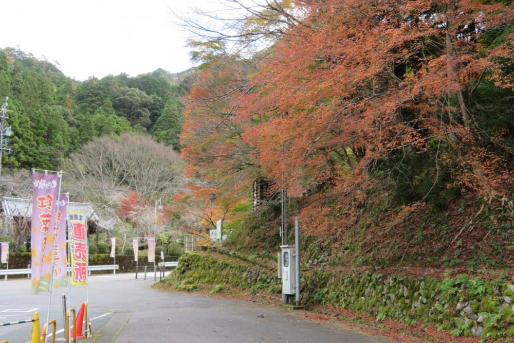 年のくらがり渓谷紅葉情報はこちら 新着情報 岡崎おでかけナビ 岡崎市観光協会公式サイト