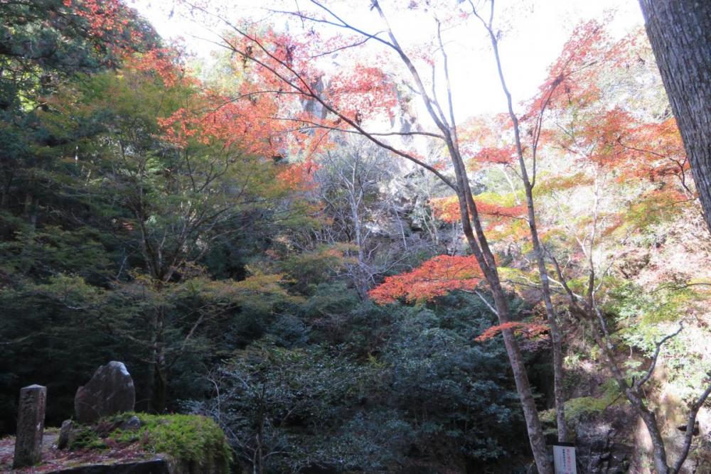 年のくらがり渓谷紅葉情報はこちら 新着情報 岡崎おでかけナビ 岡崎市観光協会公式サイト