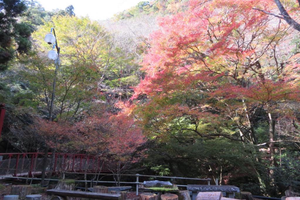 くらがり山荘横