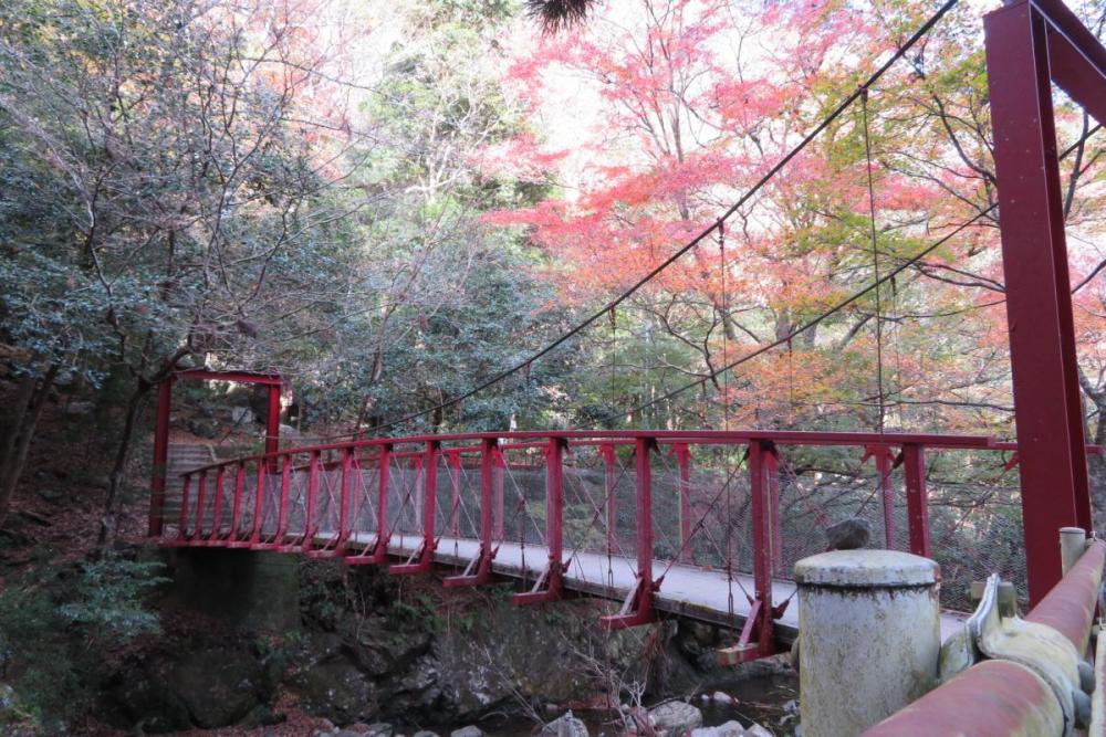 年のくらがり渓谷紅葉情報はこちら 新着情報 岡崎おでかけナビ 岡崎市観光協会公式サイト