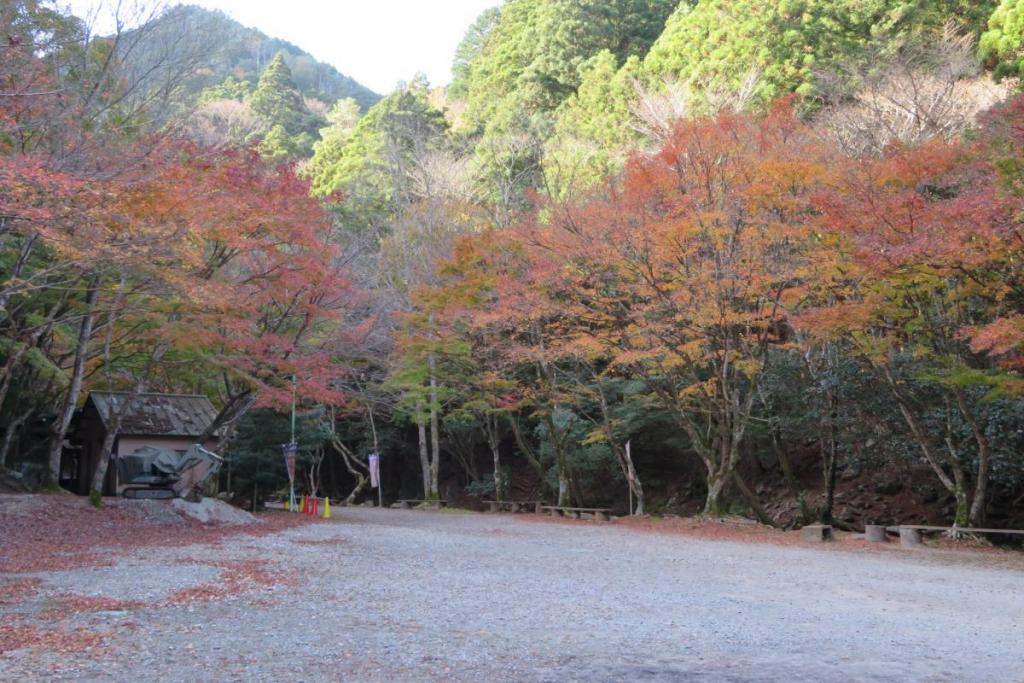 花の木広場