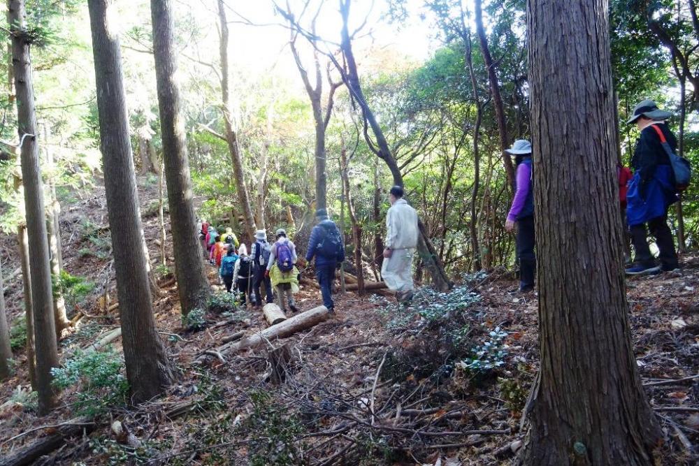 いよいよ山道を上がっていきます！