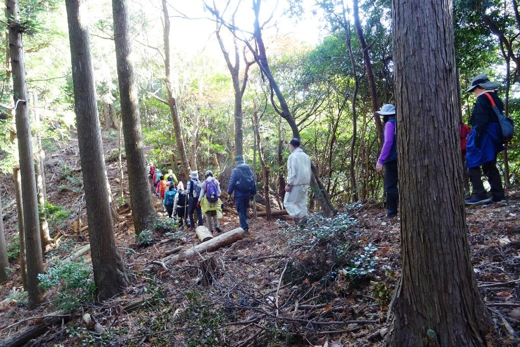 いよいよ山道を上がっていきます！