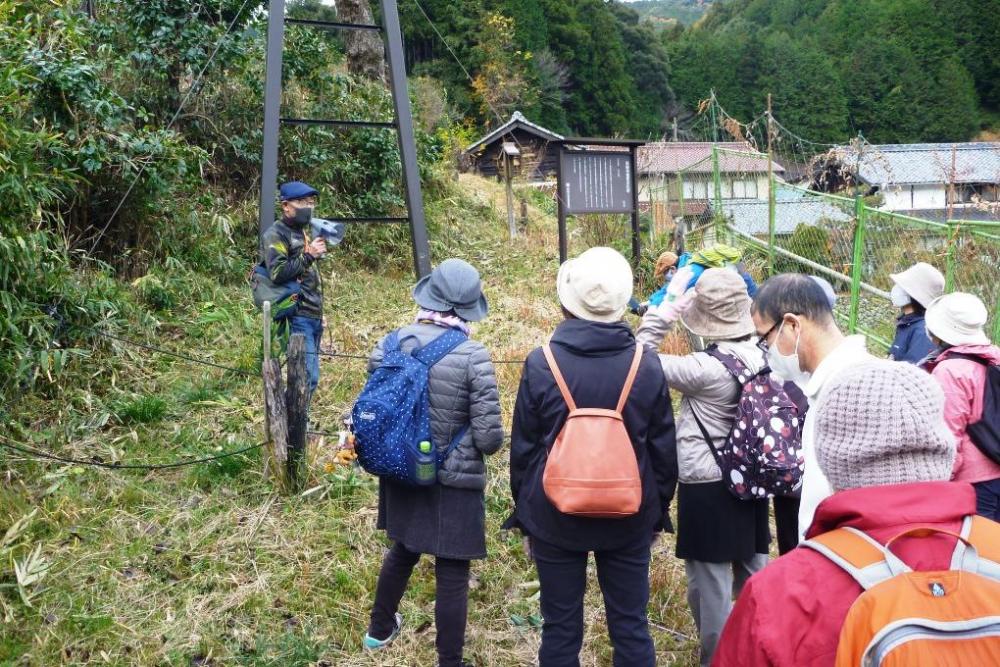 岡崎市指定の天然記念物「トヨトミ梨」