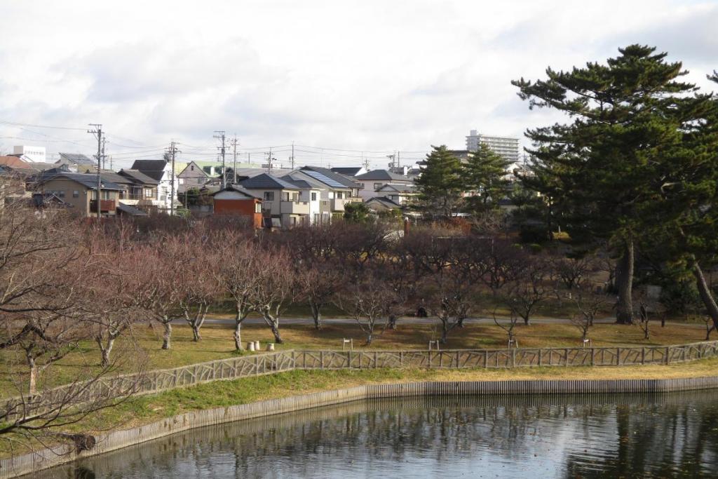 全景１