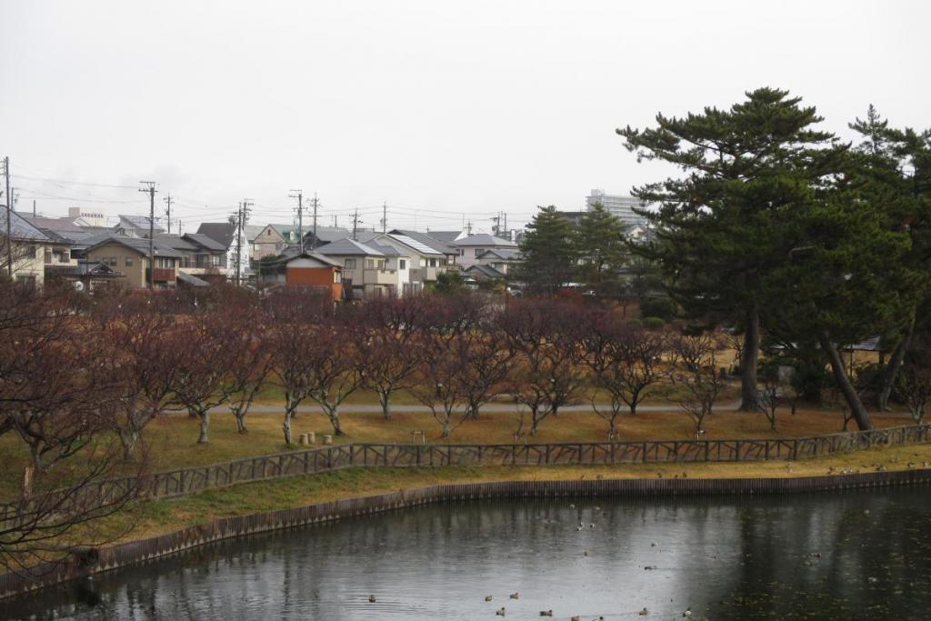 全景１