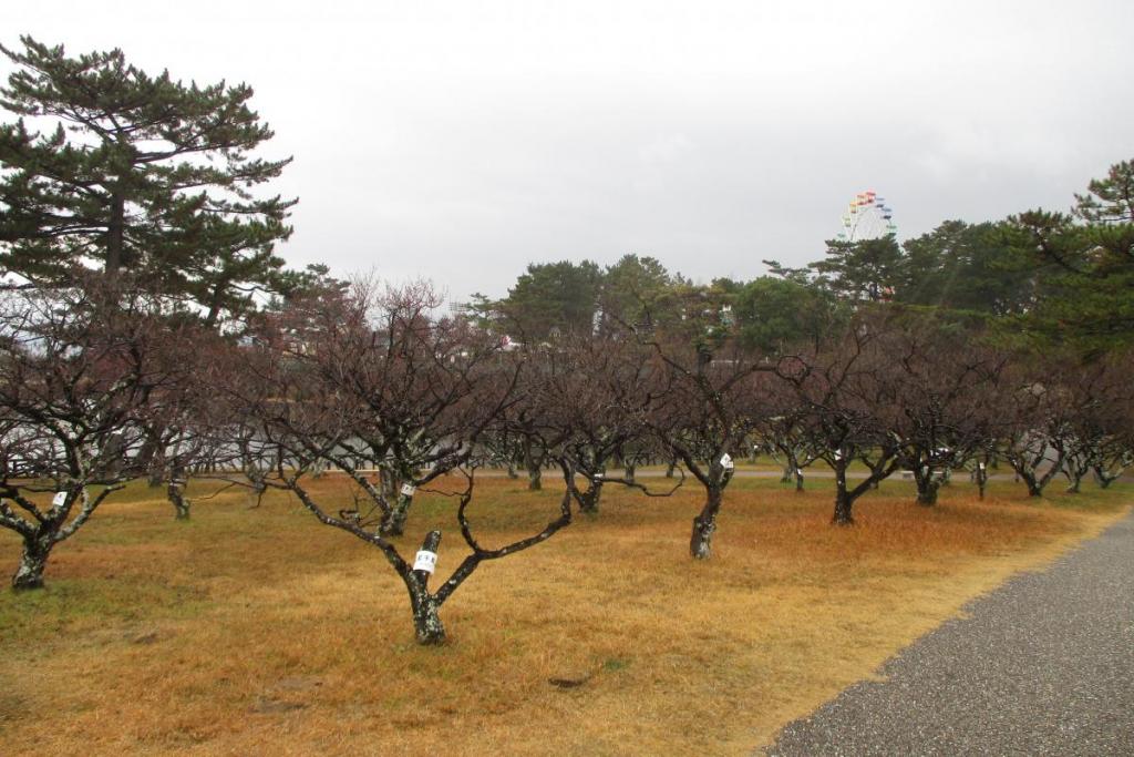 全景２