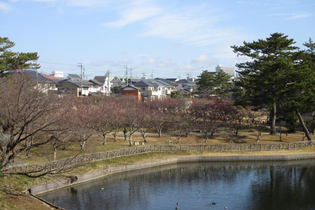 全景１
