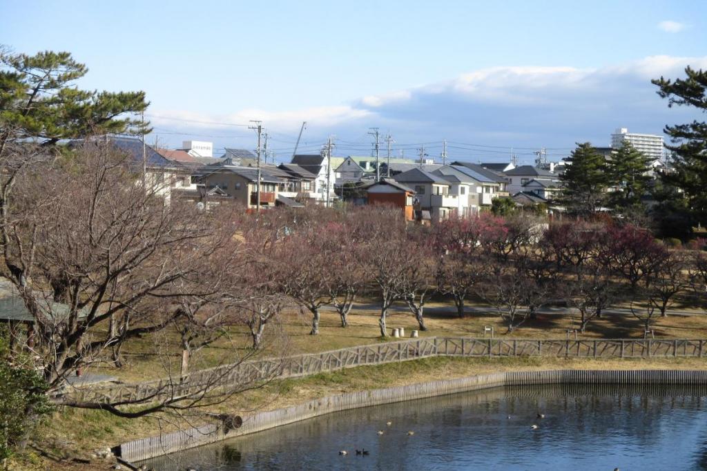 全景１