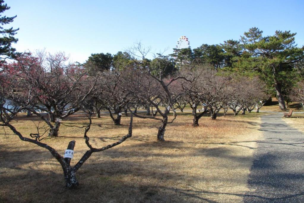全景２