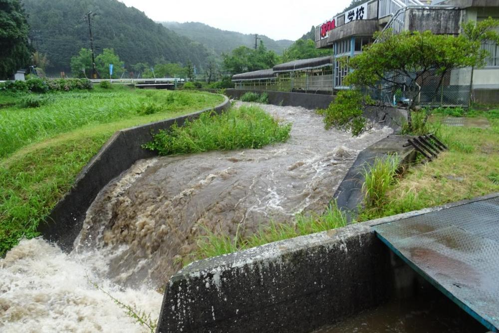 大雨で増水した鳥川、ホタルは無事か？