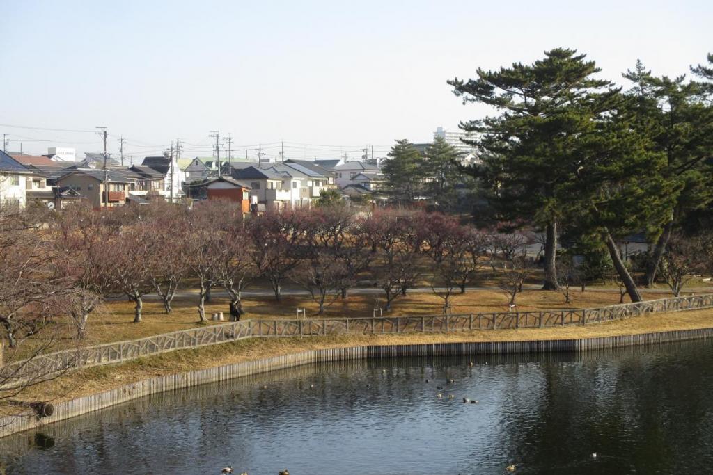全景１