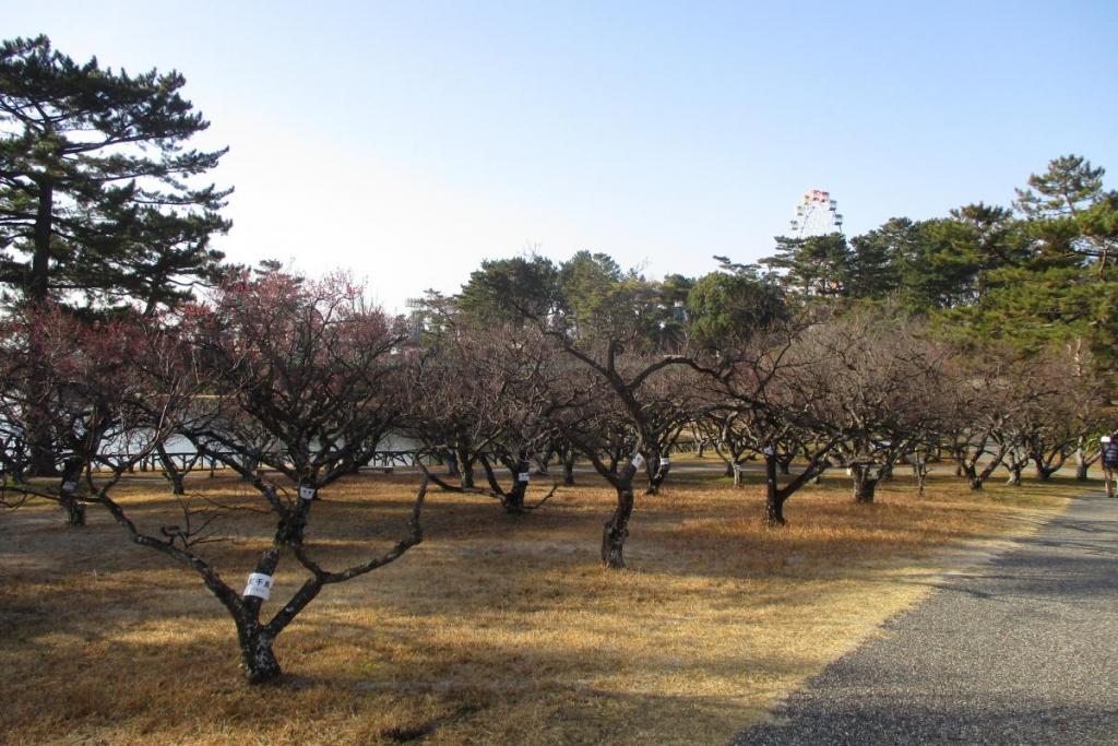 全景２