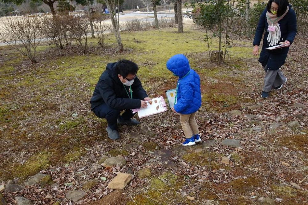 この色の落ち葉を探そう