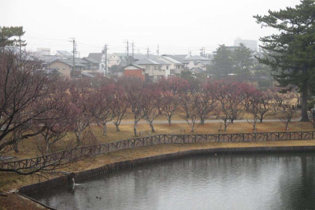 全景1