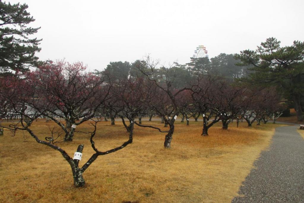 全景2