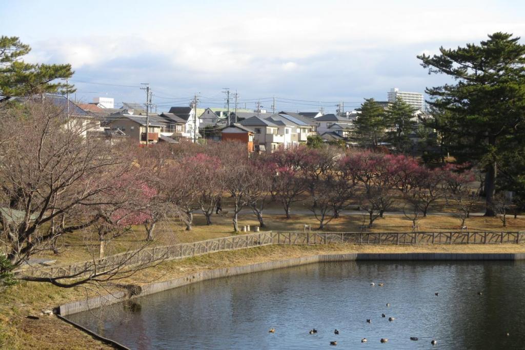 全景1