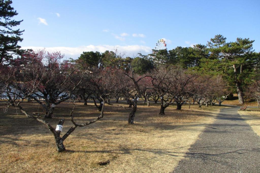 全景2