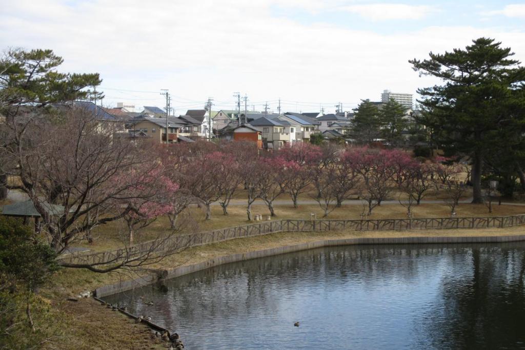 全景１