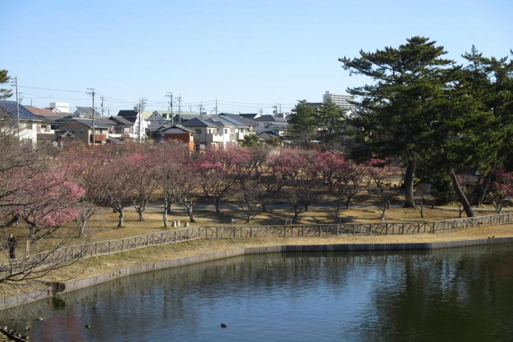 全景１
