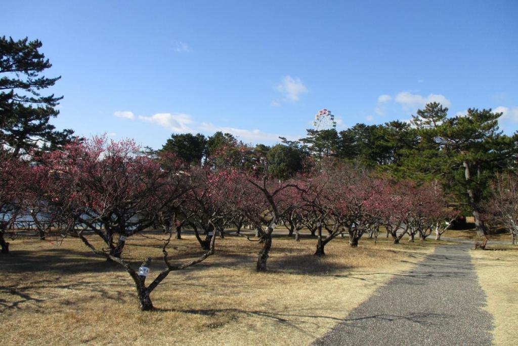 全景２