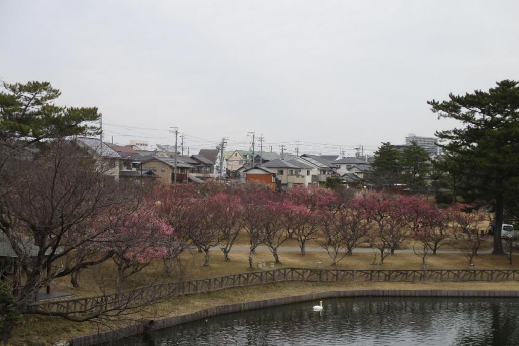 全景1