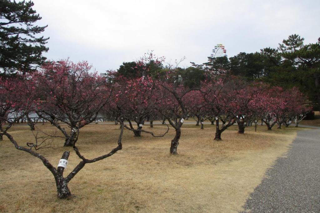 全景2