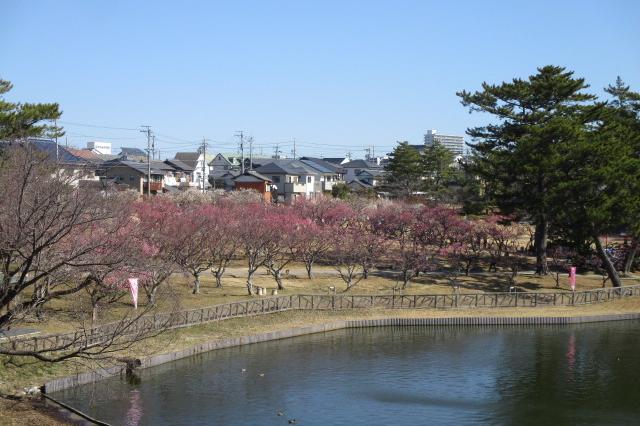 全景１