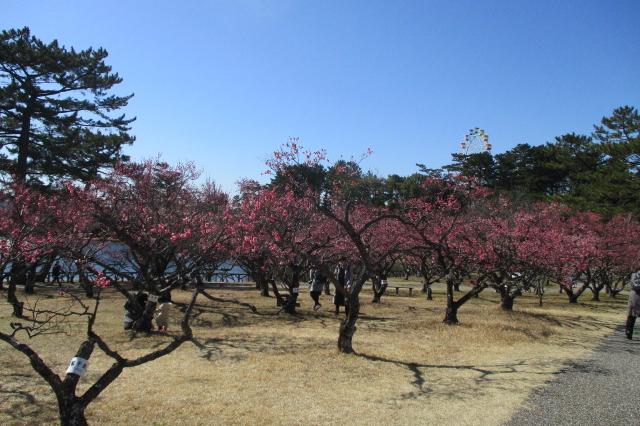 全景２