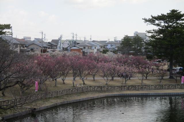 全景１