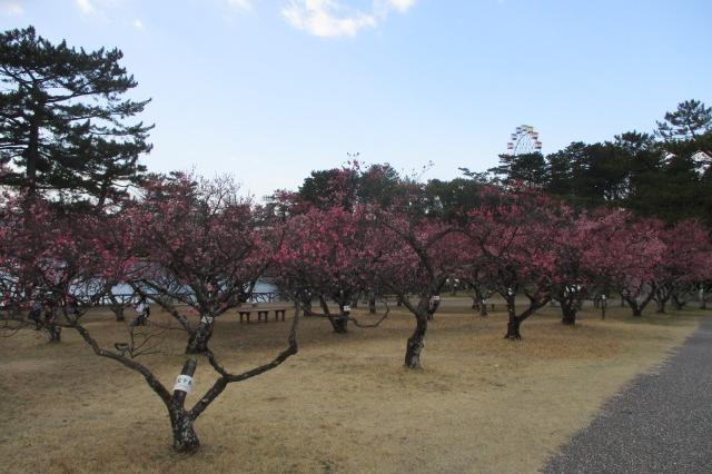 全景２