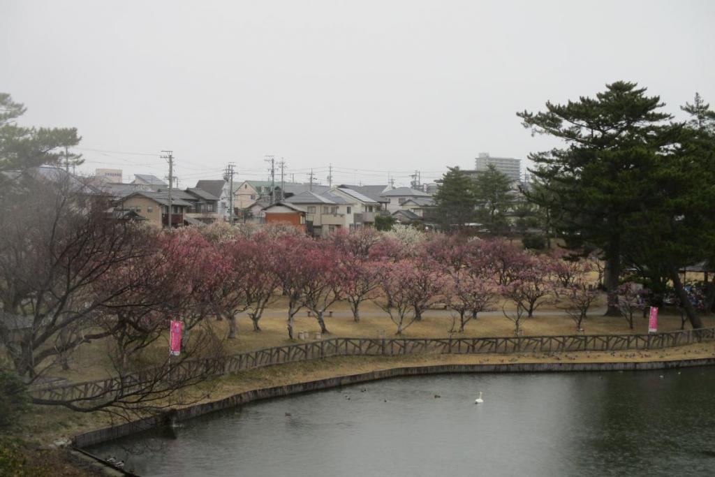 全景1