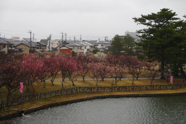 全景１
