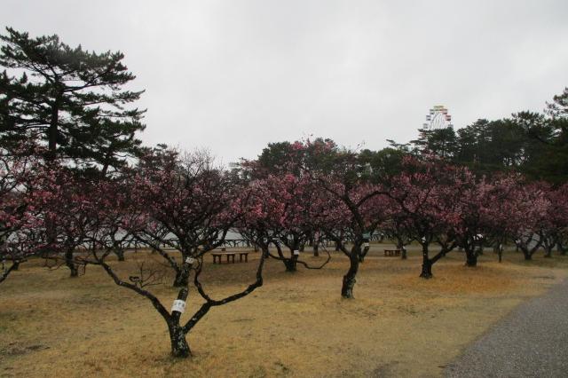 全景２