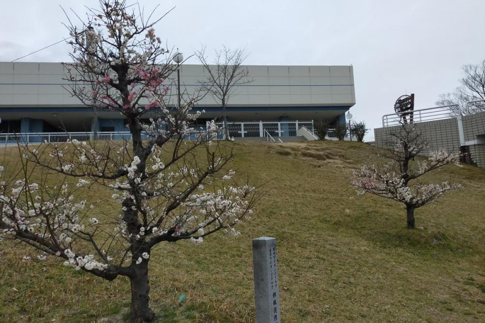 体育館・野球場の間