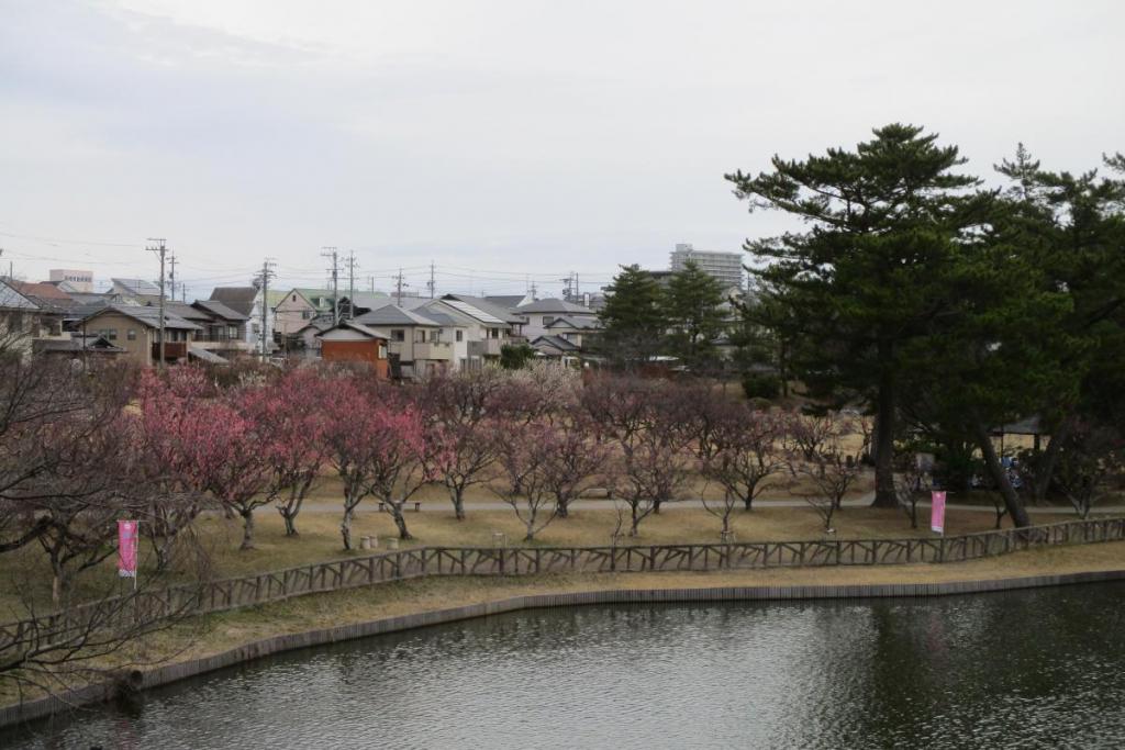 全景１