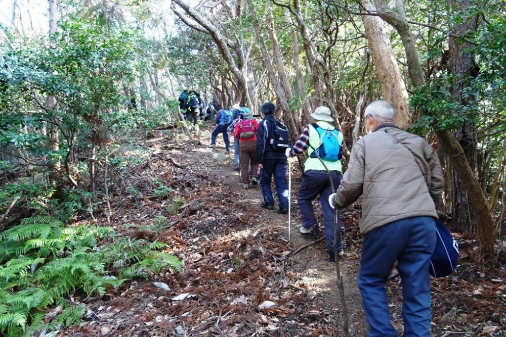 登山道を上がっていきます。水晶山頂上を目指します！