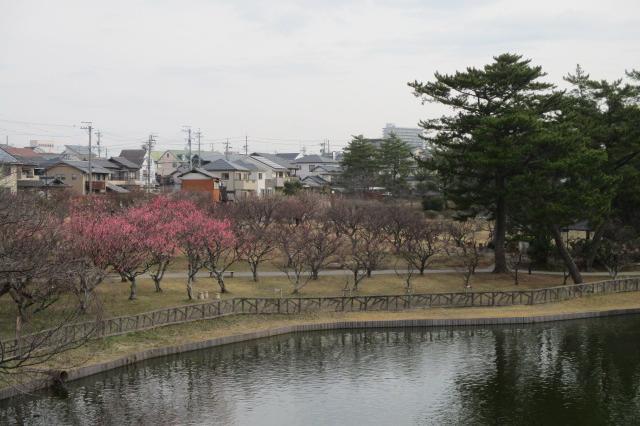 全景１