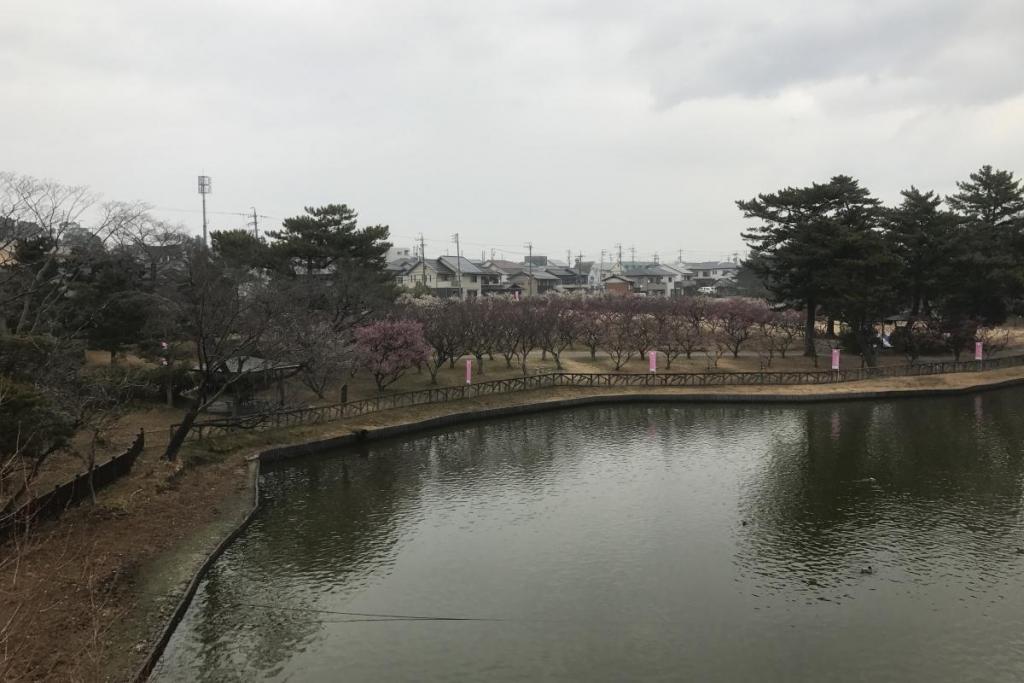 全景1