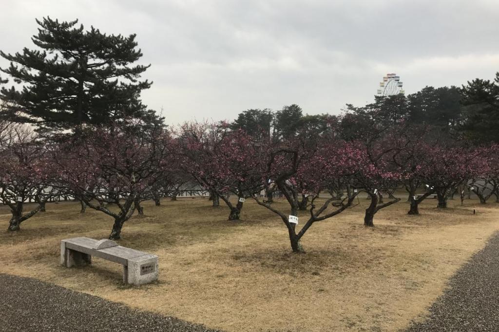 全景2