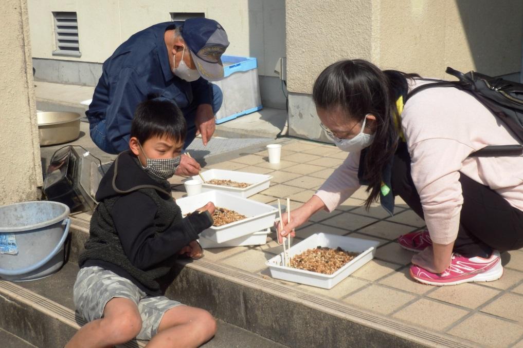 ゲンジボタルの幼虫を探してみよう！