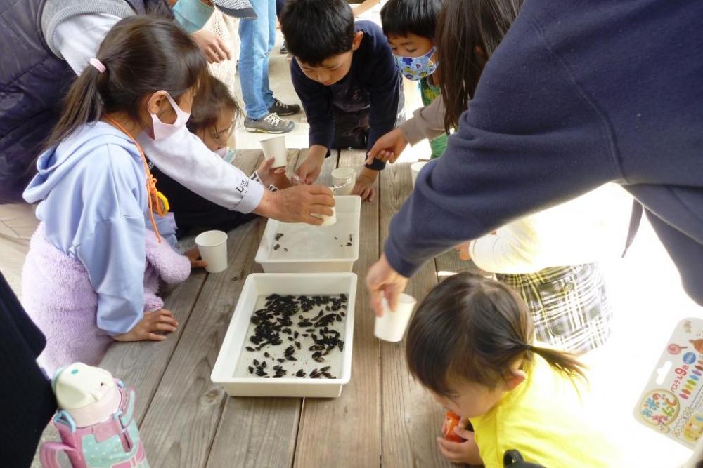 幼虫を紙コップへと移していきます！