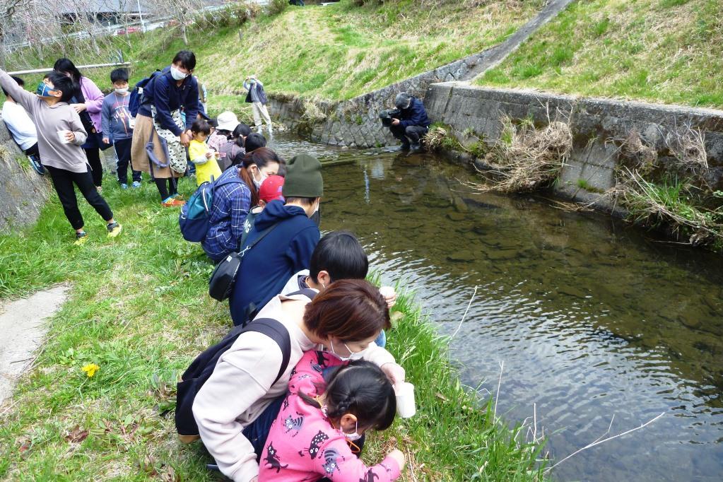 いよいよ川へ放流します！