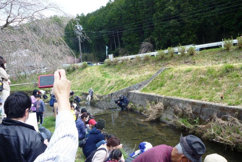 放流の瞬間①