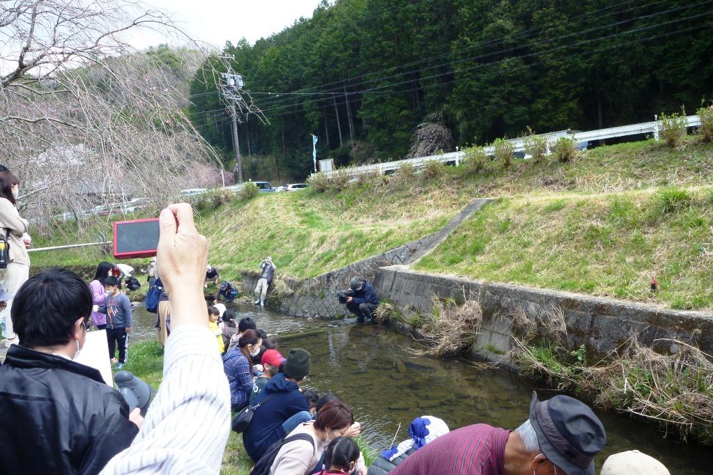 放流の瞬間①