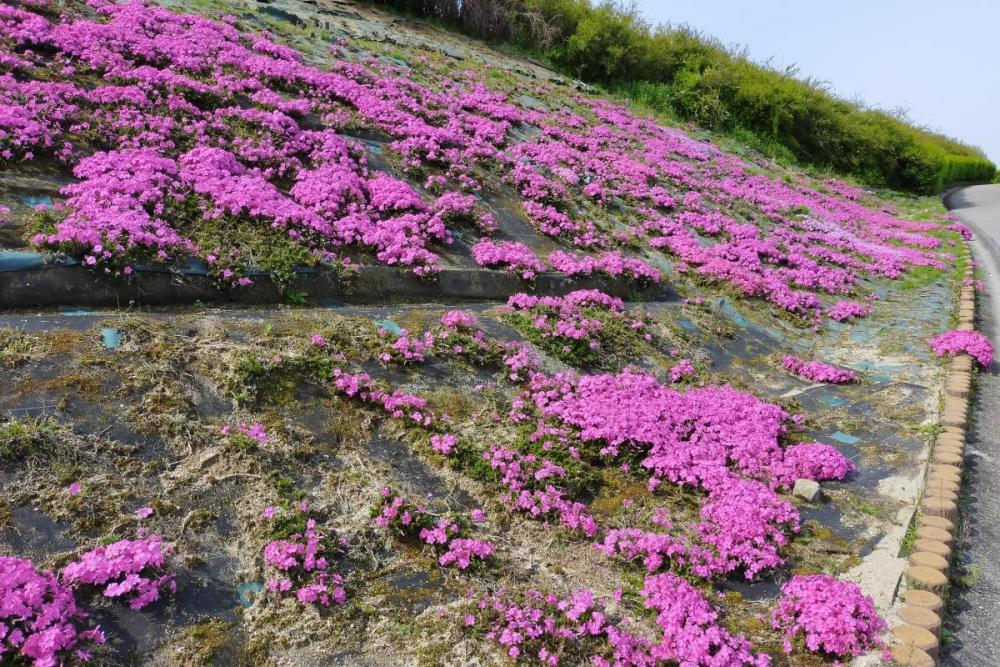 体育館野球場側