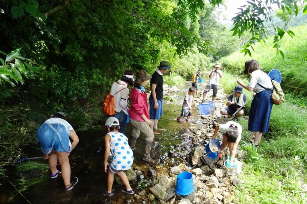 30度を超える暑い日でも水辺は気持ちいいです