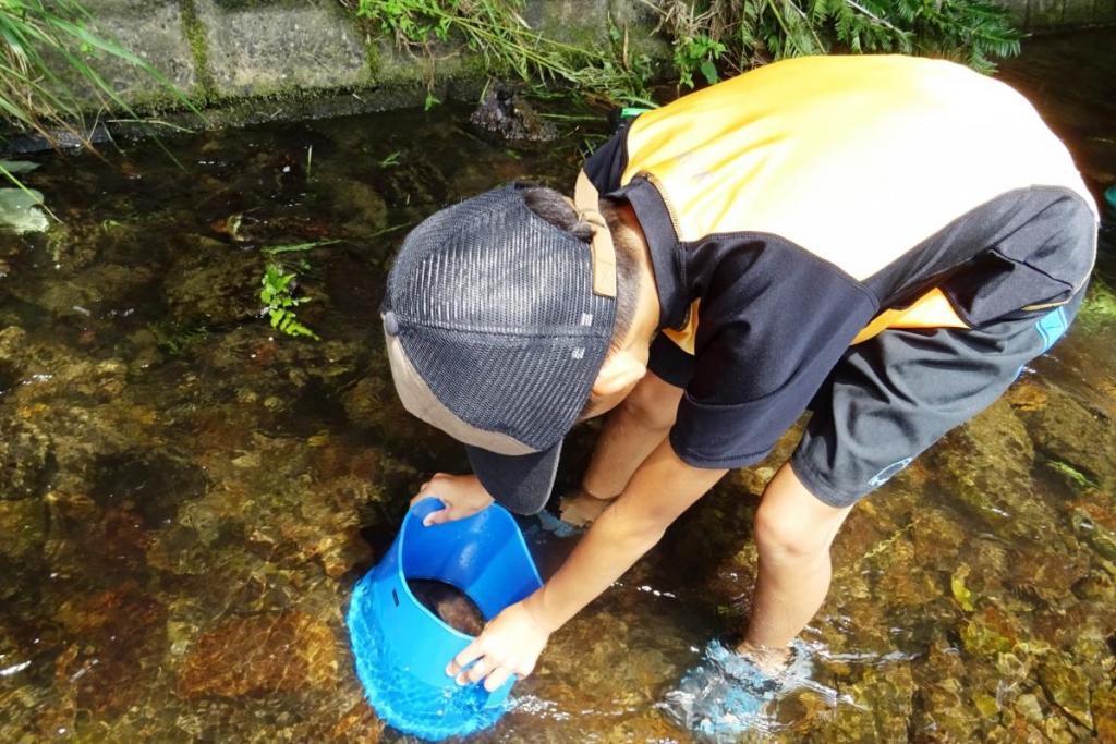 水中メガネで見る川底の世界に誰もが夢中です