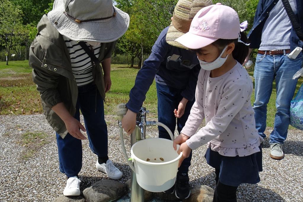 土に水を加えます。